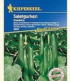 Kiepenkerl Salatgurken 'Dominica',1 Portion Foto, Bestseller 2024-2023 neu, bester Preis 4,49 € Rezension