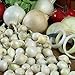 Photo Onion Sets Red,Yellow,White or Mix 40-70 bulbs) Garden Vegetable- Choose a color(Yellow) new bestseller 2024-2023