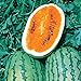 Photo Burpee Orange Tendersweet Watermelon Seeds 60 seeds new bestseller 2024-2023