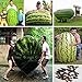 Foto 30 / bolsa de semillas de sandía gigante, verduras sabor dulce y semillas de frutas gigantes muy delicioso nuevo éxito de ventas 2024-2023