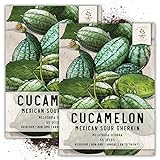 Seed Needs, Cucamelon/Mexican Sour Gherkin (Melothria scobra) Twin Pack of 65 Seeds Each Photo, bestseller 2024-2023 new, best price $8.85 ($0.07 / Count) review