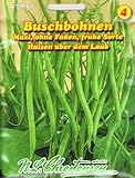 Buschbohne Maxi GS (Portion) Foto, Bestseller 2024-2023 neu, bester Preis 3,88 € Rezension