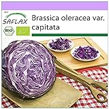 SAFLAX - Ecológico - Col repollo - 250 semillas - Brassica oleracea Foto, éxito de ventas 2024-2023 nuevo, mejor precio 3,95 € revisión