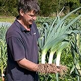 Seeds4planting - Seeds Onion Leek Giant Vegetable Heirloom Photo, bestseller 2024-2023 new, best price $6.94 review