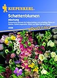 Schattenblumen-Mischung Foto, Bestseller 2024-2023 neu, bester Preis 3,95 € Rezension
