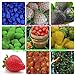 Foto 9kinds de semillas de la fresa, blanco, amarillo, azul, negro, rojo, verde, grandes fresas, subida, 900 semillas totales plants.bonsai jardín de la fruta nuevo éxito de ventas 2024-2023