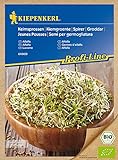 Bio Keimsprossen verschiedene Sorten Alfalfa Radies Brokkoli Weizen Rauke Linsen Zwiebel (Alfalfa) Foto, Bestseller 2024-2023 neu, bester Preis 4,13 € Rezension