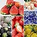 Foto Oce180anYLVUK Erdbeersamen, 100 Stück/Beutel Mehrfarbige Vitaminreiche Erdbeersamen GVO-freie Fruchtsämlinge Für Die Landwirtschaft Schwarz neu Bestseller 2024-2023