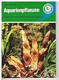 Aquarienpflanzen Foto, Bestseller 2024-2023 neu, bester Preis 0,40 € Rezension