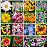 All Perennial Wildflower Seed Mix - 1/4 Pound, Mixed, Attracts Pollinators, Attracts Hummingbirds, Easy to Grow & Maintain Photo, bestseller 2024-2023 new, best price $14.25 review