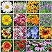 Photo All Perennial Wildflower Seed Mix - 1/4 Pound, Mixed, Attracts Pollinators, Attracts Hummingbirds, Easy to Grow & Maintain new bestseller 2023-2022