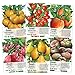 Photo Multicolor Tomato Seed Packet Collection (6 Individual Packets) Non-GMO Seeds by Seed Needs new bestseller 2024-2023