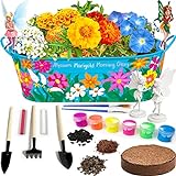 Little Planters Paint & Grow Fairy Garden with Real Flowers and Magical Fairies - Paint, Plant and Grow Morning Glory, Marigold and Alyssum Flowers - Craft Kit for Kids All Ages Both Girls and Boys Photo, bestseller 2024-2023 new, best price $24.99 review
