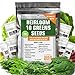 Photo Heirloom Non-GMO Lettuce and Greens Seeds Variety Pack for Outdoor and Indoor Gardening & Hydroponics, 5000+ Seeds - Kale, Butter, Oak, Spinach, Romaine Bibb & More new bestseller 2023-2022