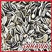 Foto SAHAWA® Sonnenblumenkerne gestreift 25 kg, Vogelfutter, Winterfutter neu Bestseller 2024-2023