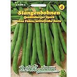 Stangenbohnen 'Quedlinburger Speck' mittelfrüh, grün, ohne Fäden Foto, Bestseller 2024-2023 neu, bester Preis 2,29 € Rezension