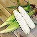 Photo CEMEHA SEEDS - White Corn Sweet Non GMO Vegetable for Planting new bestseller 2024-2023