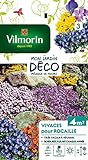 Vilmorin 5860943 Pack de Graines Fleur Vivace pour Rocaille Photo, best-seller 2024-2023 nouveau, meilleur prix 7,16 € examen