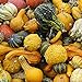 Foto 100 Stück Kürbiskerne Natürliche dekorative hochkeimende gemischte kleine Kürbis-Gemüsesamen für Gärten neu Bestseller 2024-2023