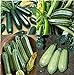 Photo David's Garden Seeds Collection Set Zucchini 9835 (Green) 4 Varieties 100 Non-GMO, Open Pollinated Seeds new bestseller 2024-2023