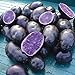 Photo Simply Seed - Purple Majesty - Naturally Grown Seed Potatoes - 5 LB- Ready for Spring Planting new bestseller 2023-2022