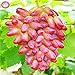 Foto 50pcs/bag Seltene Finger Traubenkernen, erweiterte Fruchtsamen, 4 Natürliches Wachstum Trauben Köstliche Bonsai Topfpflanzen für Hausgarten neu Bestseller 2024-2023