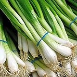1000 Scallion Seeds, A.k.a Green Onion, Spring Onion. Grow Spring/ Late Summer/fall Photo, bestseller 2024-2023 new, best price $3.30 review