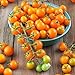 Photo Sun Gold Hybrid Tomato Seeds (40 Seed Pack) new bestseller 2024-2023