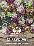 Kohlsamen - Rosenkohl Flower Sprout Autumn Star von Sperli-Samen Foto, Bestseller 2024-2023 neu, bester Preis 7,49 € Rezension