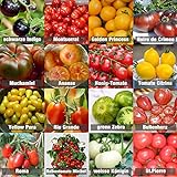 Set de graines de tomates PRADEMIR – 16 variétés de tomates - Graines 100% naturelles du Portugal - Variétés rares et anciennes à haut taux de germination. Photo, best-seller 2024-2023 nouveau, meilleur prix 7,99 € examen