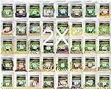 Over 34,000 Seeds!! Set of 40 Individual Vegetable, Herb & Melon Seed Packs Perfect for Planting A Deluxe Home/Survival Garden Indoor/Outdoor. Heirloom-100% Non-GMO! USA Packaged. by B&KM Farms. Photo, bestseller 2024-2023 new, best price $39.99 ($0.00 / Count) review