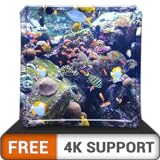 FREE Aquatic Beauty HD - Decorate your room with beautiful sea life aquarium on your HDR 4K TV, 8K TV and Fire Devices as a wallpaper & Theme for Mediation , Decoration for Christmas Holidays & Peace Photo, bestseller 2024-2023 new, best price $0.00 review