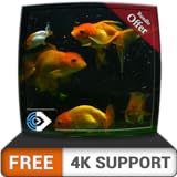 FREE Beautiful Aquarium HD - Decorate your room with beautiful Aquarium on your HDR 4K TV, 8K TV and Fire Devices as a wallpaper, Decoration for Christmas Holidays, Theme for Mediation & Peace Photo, bestseller 2024-2023 new, best price $0.00 review