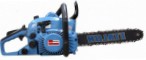 ﻿chainsaw Etalon PN4500-3 Photo, description