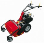   Solo 526-75 self-propelled lawn mower Photo