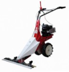 hø plæneklipperen Eurosystems Minieffe 352 RM Motor Mower Foto, beskrivelse