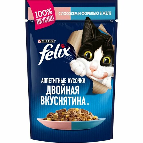 фото Felix двойная вкуснятина влажный корм для кошек в желе с лососем и форелью 75г х 78шт