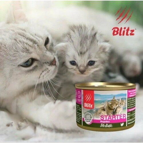 фото Влажный корм для котят, беременных и кормящих кошек Blitz Holistic Starter 200г*6шт Индейка в суфле