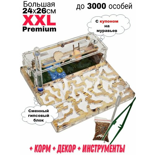 фото Большая муравьиная ферма XXL Premium 24*26см Полный комплект Сосна