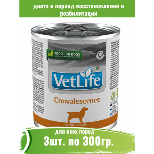 фото Farmina 3шт по 300г Vet Life Dog Convalescence паштет консервы для собак после болезни