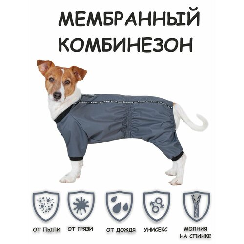 фото Дождевик для собак DOGMODA Мартин (серый) унисекс р. 3, 28см