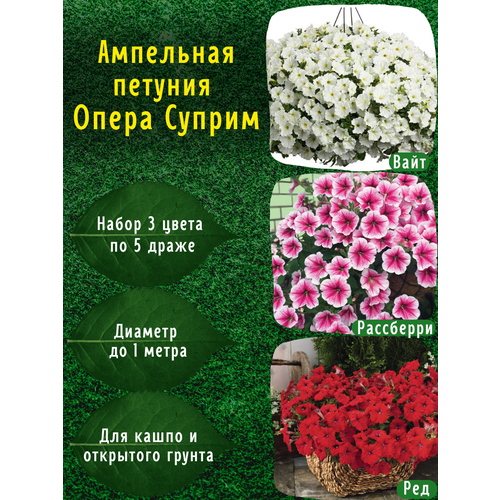 Ампельная петуния профессиональные семена Опера Суприм Вайт, Расбберри айз, ред по 5 драже фото