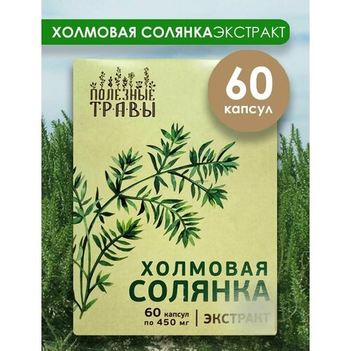 фото Холмовая солянка, экстракт 60 капсул Пчела и человек