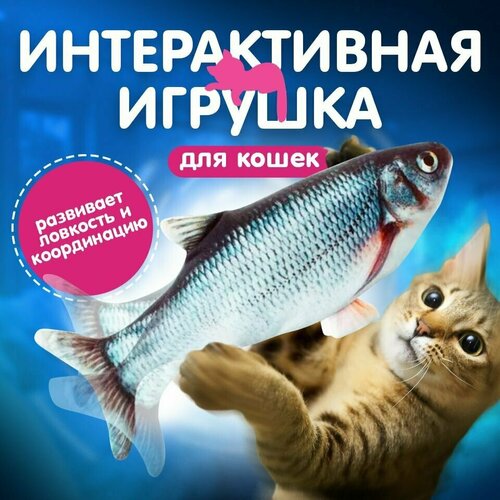 фото Мягкая игрушка для кошек интерактивная/ рыба механическая/Карась