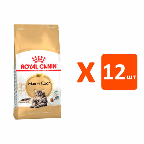 фото ROYAL CANIN MAINE COON ADULT для взрослых кошек мэйн кун (0,4 кг х 12 шт)