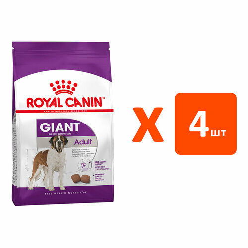 фото ROYAL CANIN GIANT ADULT для взрослых собак крупных пород (4 кг х 4 шт)