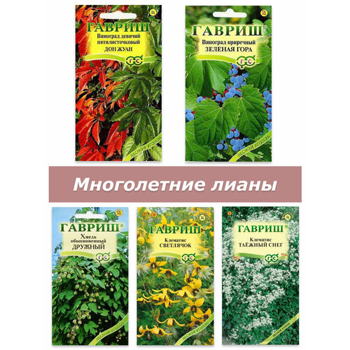 Набор семян, семена многолетних лиан и вьющихся растений, виноград, хмель, клематис фото