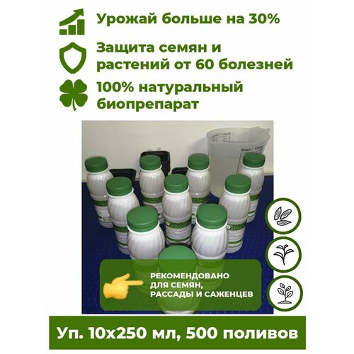 фото Триходерма концентрат - Триходермин жидкий 10 бут. х250мл биофунгицид удобрение для растений Корпус Агро. Лечит растения от более 60 болезней, повышает урожайность до 30%.