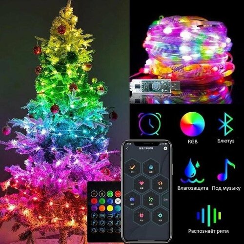 фото Умная светодиодная гирлянда RaslGoodS RGB 10 м, 100 LED