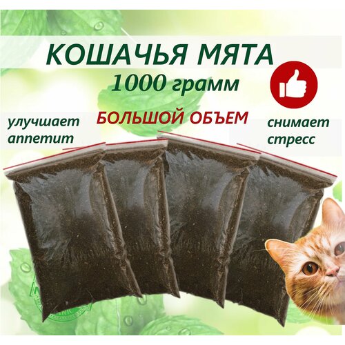 фото Кошачья мята лакомство для кошек 1 кг. Котовник сушенный. Для приучения к месту, коррекции поведения, успокоительное.